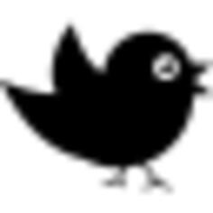 Bird of black feathers
