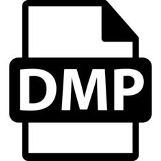 DMP文件格式符号
