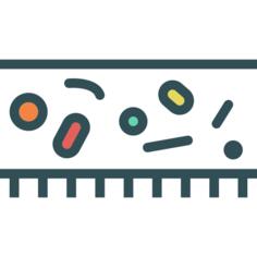 微生物