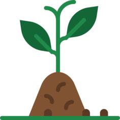 Sprout