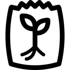种子