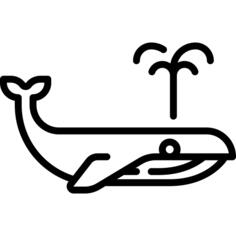 鲸