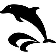 Dolphin and Sea