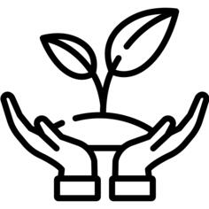 Growth