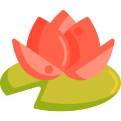 Water lily