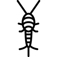 Silverfish