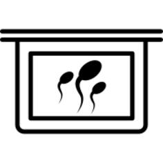 Image of sperm cells