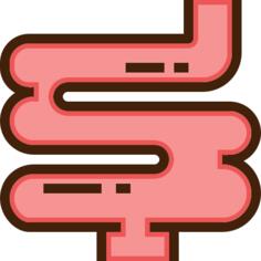 Intestine