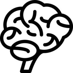 Brain