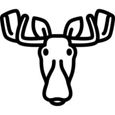 Moose Head