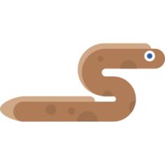Moray