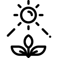 光合作用