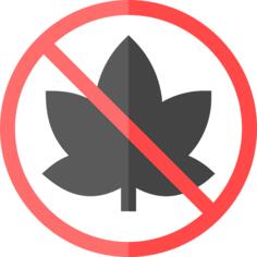 Marijuana