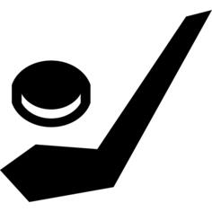 Ice hockey stick and puck