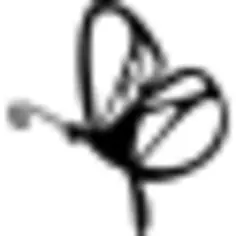 从侧视图的蝴蝶设计