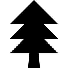 Plain tree