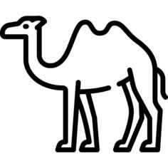 骆驼