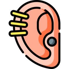 Ear