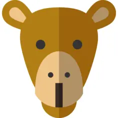 Camel
