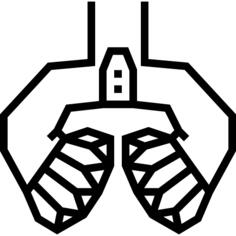 Oil pumps