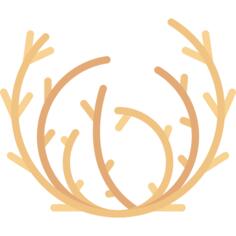 Tumbleweed