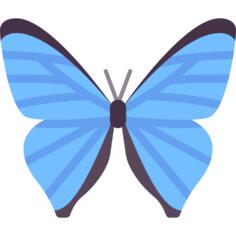 蝴蝶