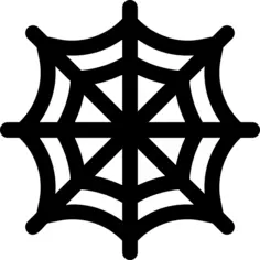 Spider web