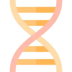 Dna