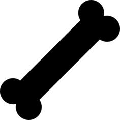 Bone