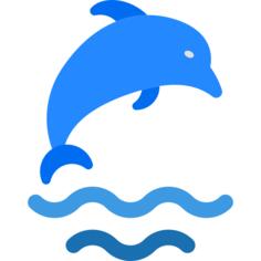 海豚