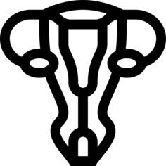 子宫