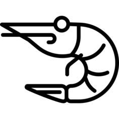 Prawn Facing Left
