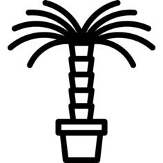 棕榈树