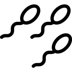 Sperm