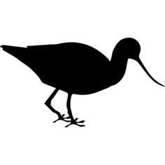 Avocet鸟动物形状