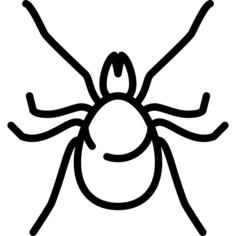 Big Mite