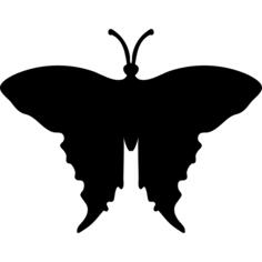 Swallowtail butterfly shape