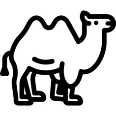 Camel