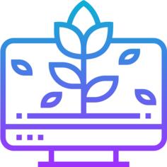 墙纸