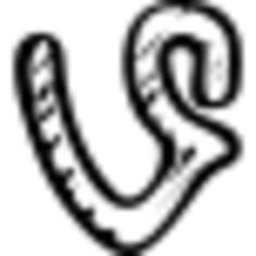 Vine sketched social logo