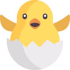 鸡