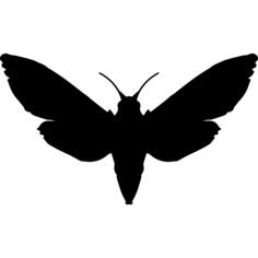 Sphinx top view silhouette