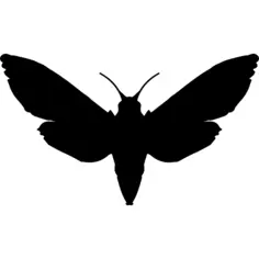 狮身人面像顶视图剪影