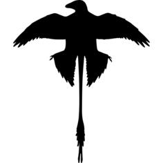 Microraptor shape of extinguished dinosaur