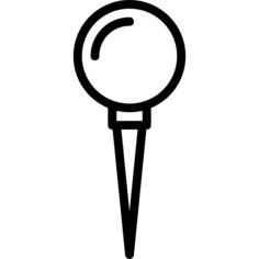 Pin