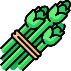 Asparagus