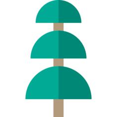 Pine