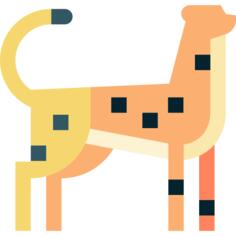 猎豹