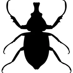 动物长角的昆虫形状