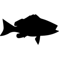 Fish shape of Blackfin snapper
